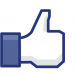 Facebook like icon