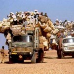 Save on student travel