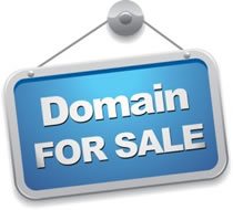 Buy and sell domain names make money online