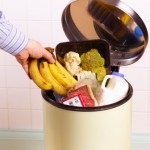 food waste