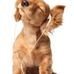revising_with_music