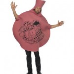 Student Fancy Dress