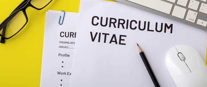 Curriculum Vitae CV job application work interview resume