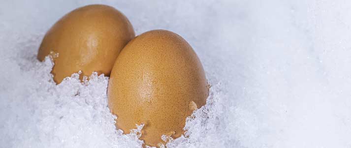 frozen eggs in ice