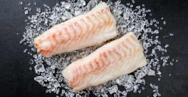 fillets of cod on ice