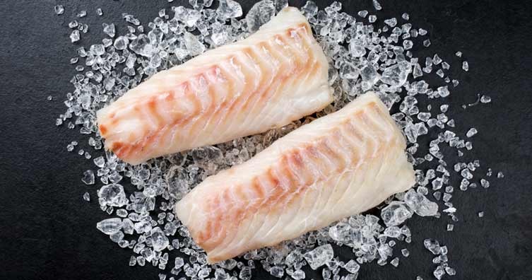 fillets of cod on ice