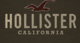 hollister logo