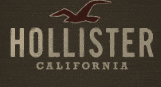 hollister discount student