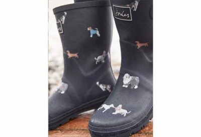 Joules Wellies