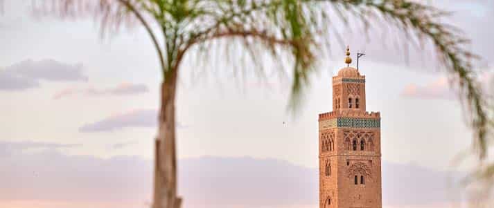 The exterior of Koutoubia Mosque in Marrakesh with a palm tree in the foreground