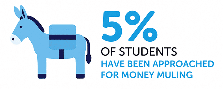 Infographic showing 5% of students have been approached for money muling