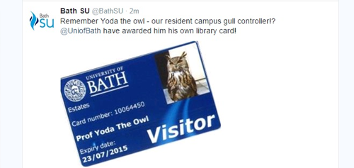 Owl-lib-card