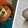 paddington bear 50p coin