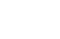 Save the Student logo