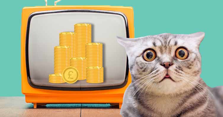 shocked cat in front of tv with pound coins