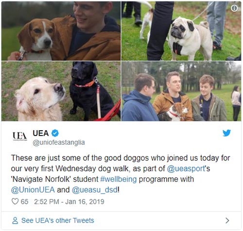 UEA dog walking students