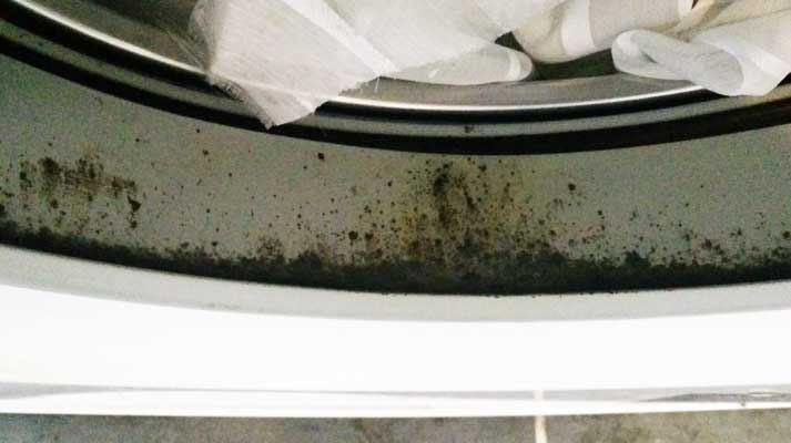 dirty mouldy washing machine seal