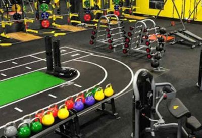 Xercise4Less Free Weights
