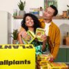 all plants box and couple