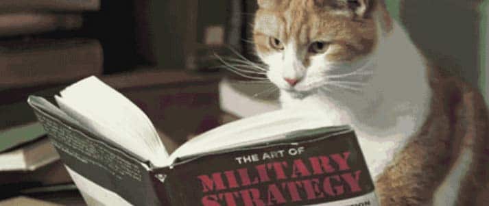 cat reading 'The Art of Military Strategy'