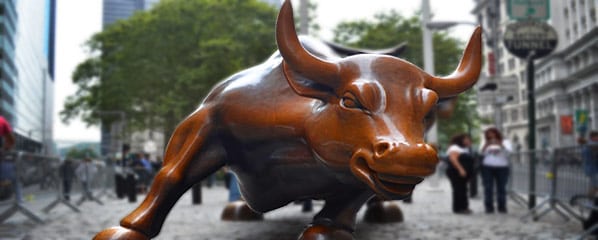 charging bull