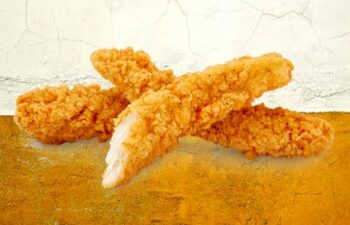 aldi chicken selects dupe