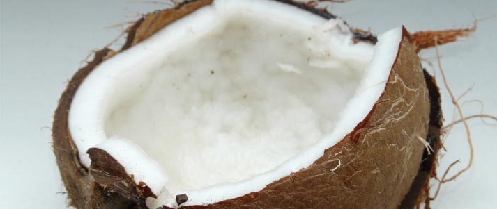 coconut