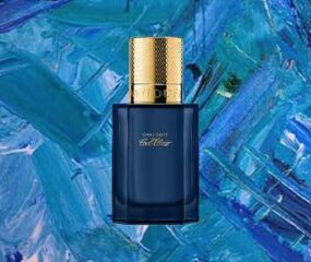 davidoff cool elixir