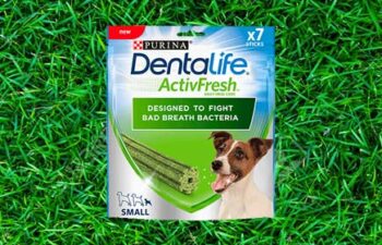 dentalife dog treats