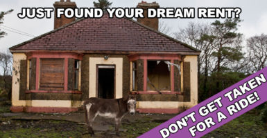 Donkey standing in front of a run-down house