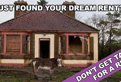 Donkey standing in front of a run-down house