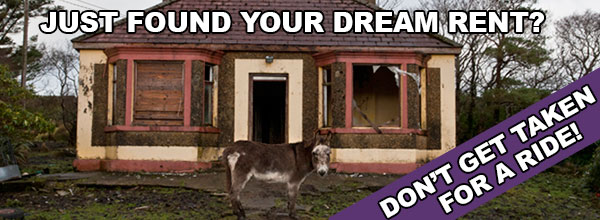 Donkey standing in front of a run-down house