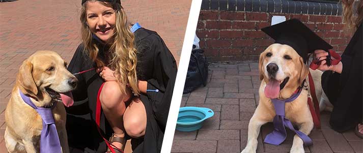 dog at graduation with owner