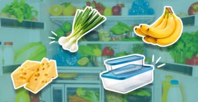 cheese, food containers, spring onion and bananas in front of a fridge