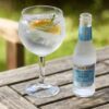 fevertree G&T