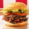 five guys burger