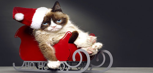 grumpy cat christmas