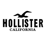 hollister logo