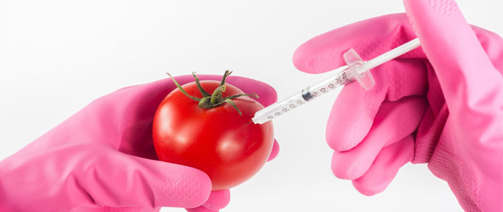someone wearing pink gloves injecting a tomato with something