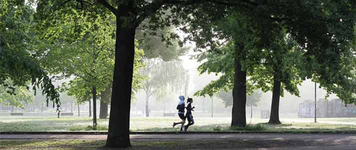 people jogging in park