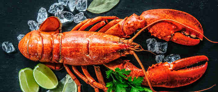 lobster with ice and garnishes 