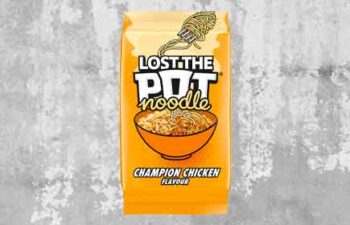 lost the pot noodle