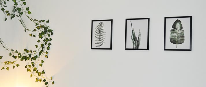 picture frames on wall with plant print