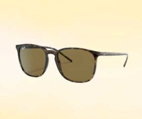 ray ban sunglasses