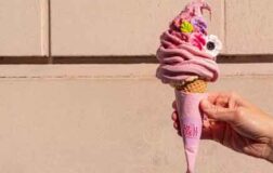 real fruit ice cream