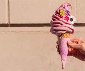 real fruit ice cream
