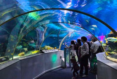 SEA LIFE Centre