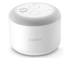 Sony Speaker