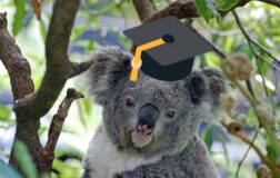 studying in australia