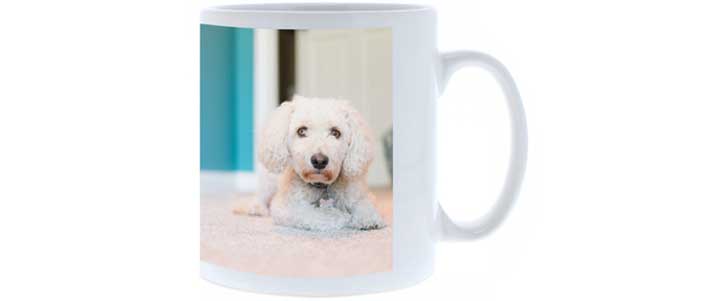 photo mug with dog